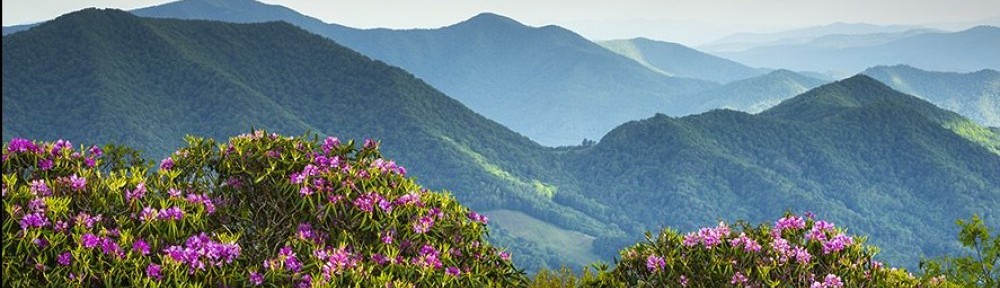 Today, May 30, is our 25th anniversary!